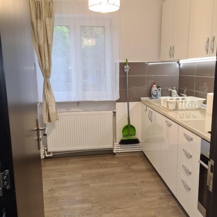 Apartament Alina Deva Zimmer foto