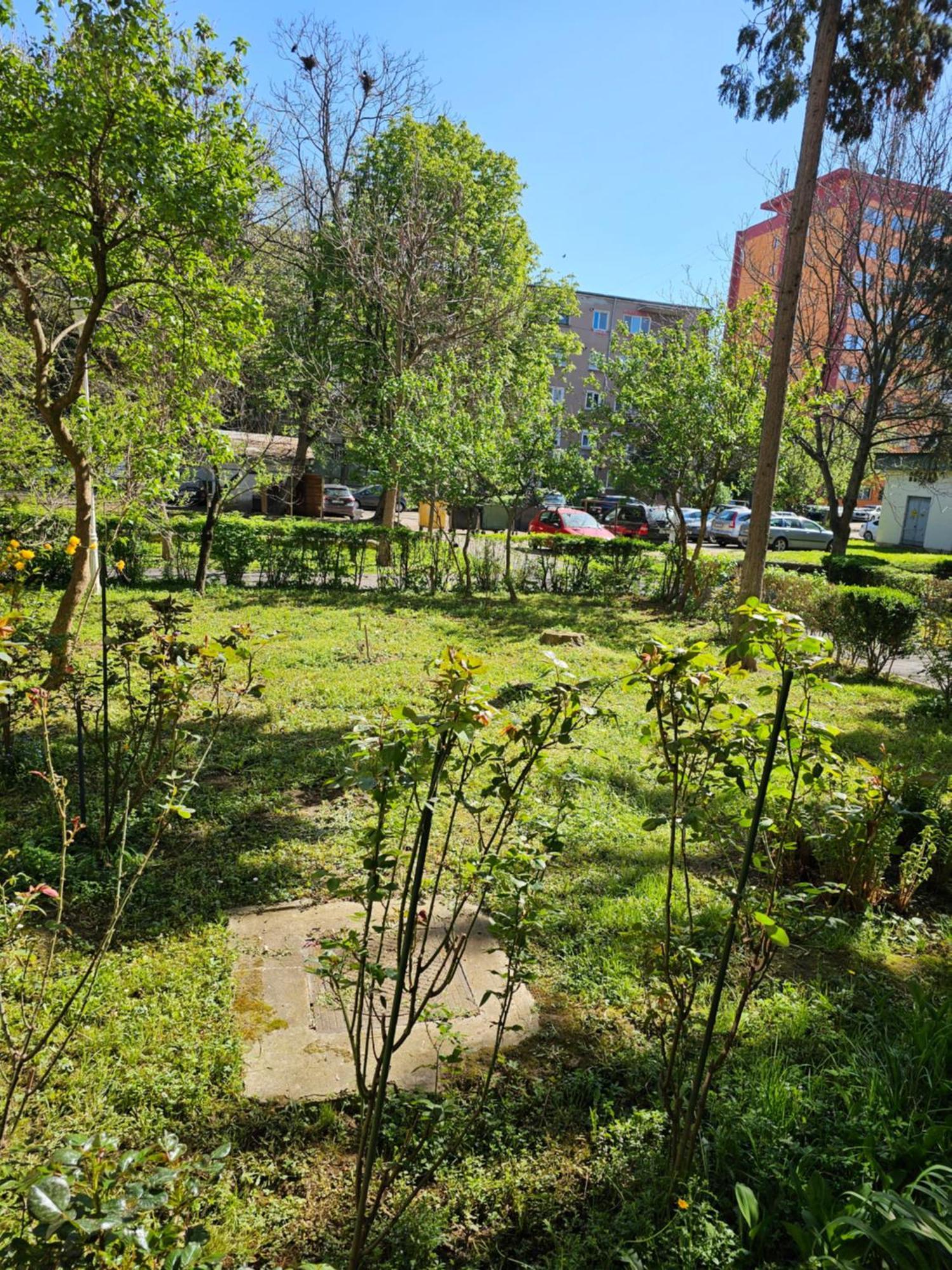 Apartament Alina Deva Exterior foto